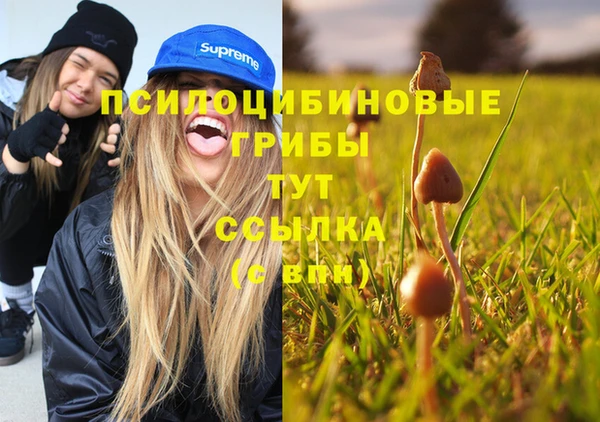 МДПВ Гусиноозёрск