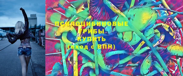 трава Гусев