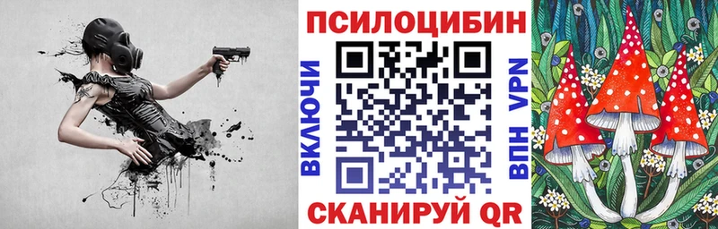 Псилоцибиновые грибы Psilocybine cubensis  shop состав  Черепаново  купить закладку 